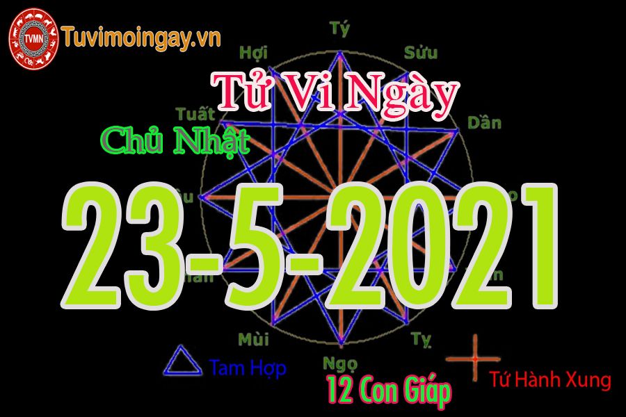 Tử vi ngày 23/5/2021 chủ nhật của 12 con giáp