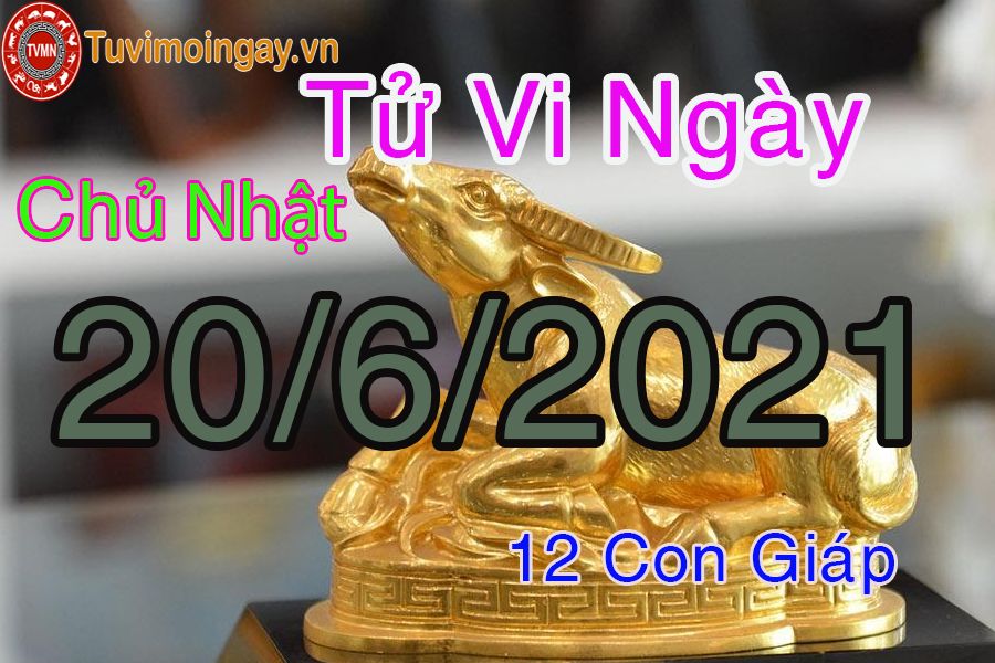 Tử vi ngày 20/6/2021 chủ nhật của 12 con giáp