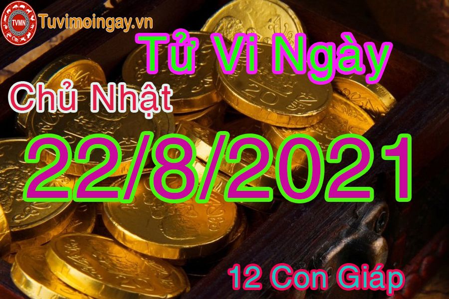 Tử vi ngày 22/8/2021 chủ nhật của 12 con giáp