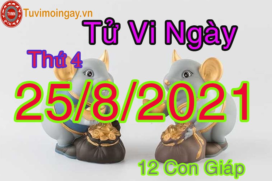 Tử vi ngày 25/8/2021 thứ 4 của 12 con giáp