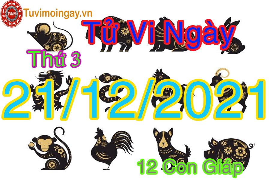 Tử vi thứ 3 ngày 21/12/2021 của 12 con giáp