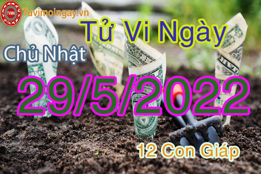 Tử vi chủ nhật ngày 29/5/2022 của 12 con giáp