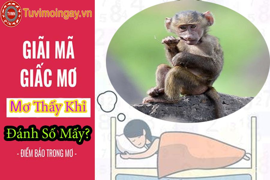 Giải mã giấc mơ thấy khỉ? Mơ thấy khỉ đánh số mấy?