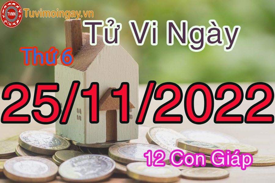 Tử vi thứ 6 ngày 25/11/2022 của 12 con giáp