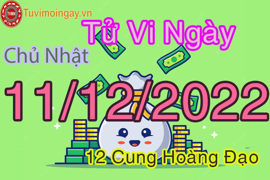 Tử vi chủ nhật ngày 11/12/2022 của 12 cung hoàng đạo