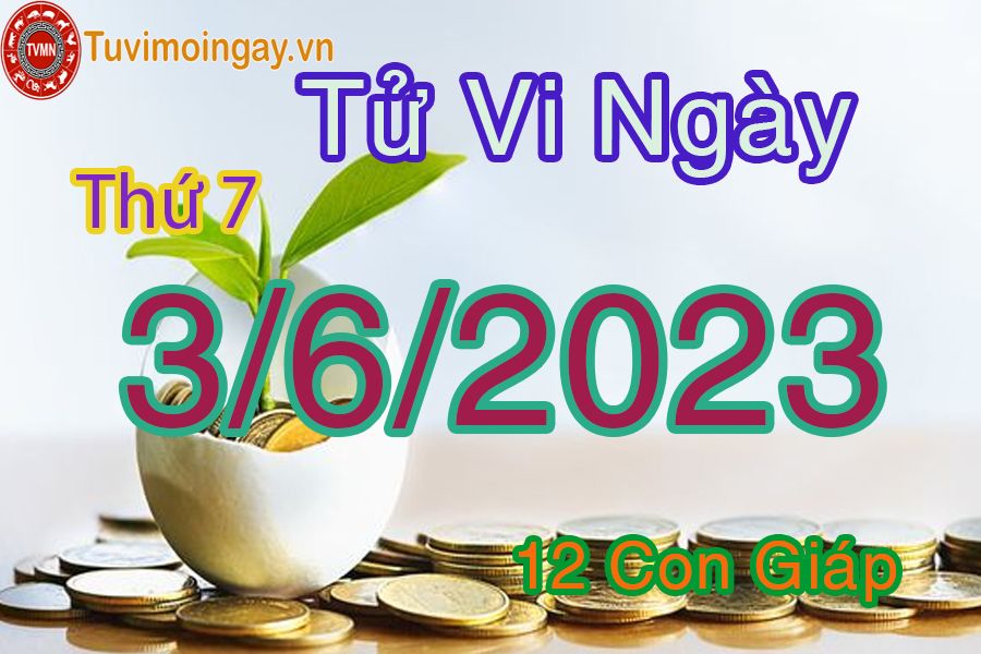 Tử vi thứ 7 ngày 3/6/2023 của 12 con giáp