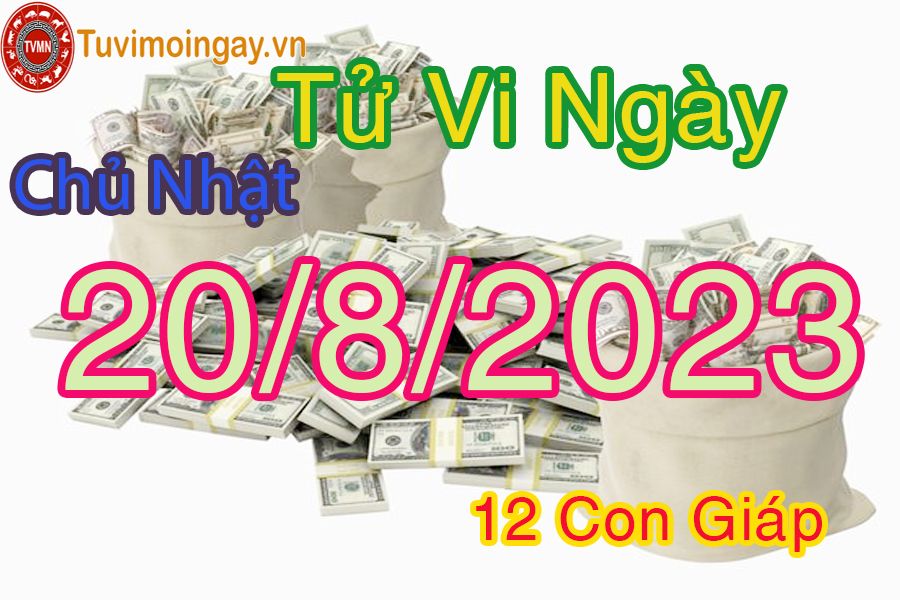 Tử vi chủ nhật ngày 20/8/2023 của 12 con giáp