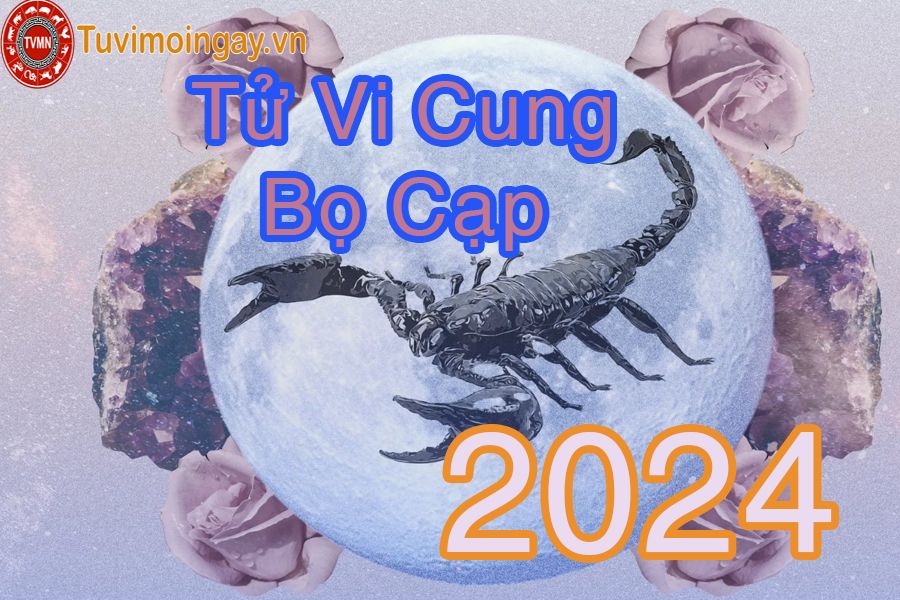 Giải mã tử vi năm 2024 cho người thuộc cung hoàng đạo Bọ Cạp