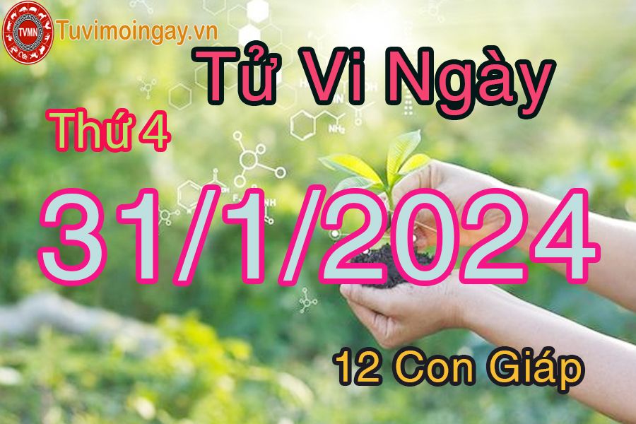  Xem bói ngày 31-1-2024 thứ 4