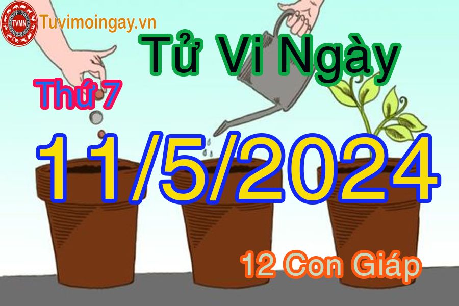 Thứ bảy của 12 con giáp ngày 11/5/2024