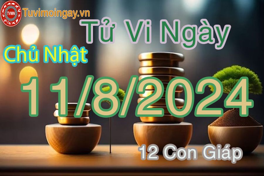 Xem bói ngày 11-8-2024 Chủ Nhật