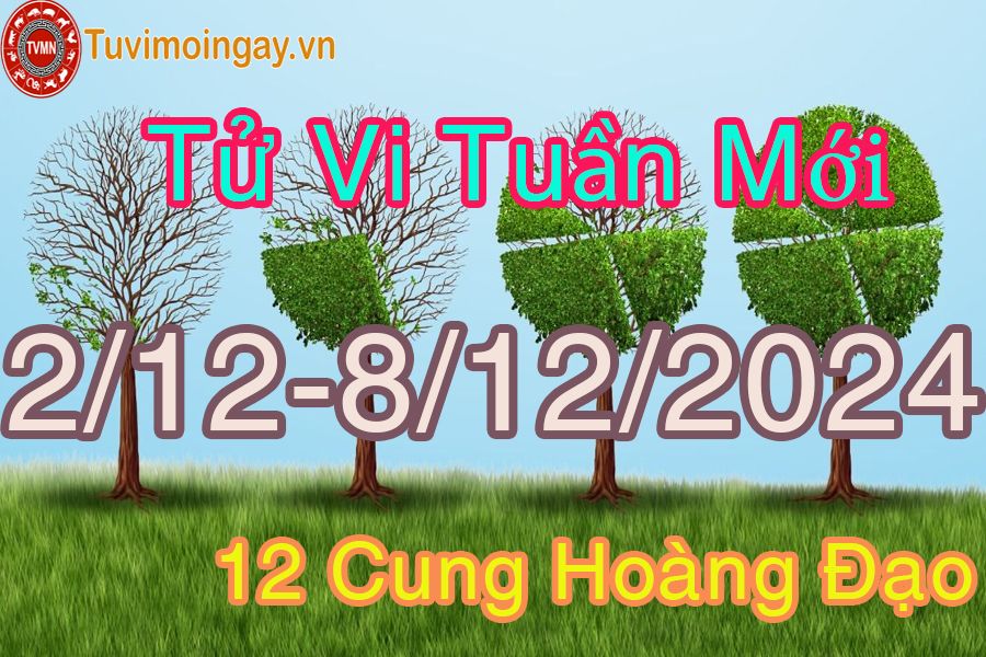 Tử vi tuần mới 12 cung hoàng đạo từ 2/12 đến 8/12/2024