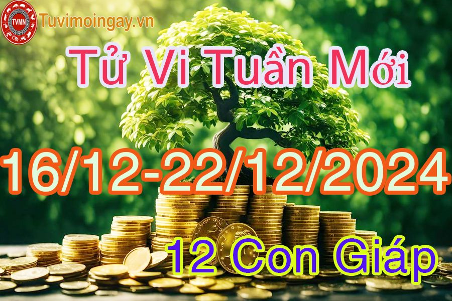 Tuần mới từ ngày 16/12 đến 22/12/2024 của 12 con giáp