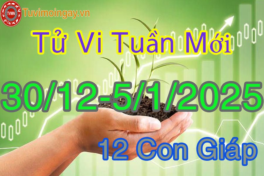 Tuần mới từ ngày 30/12/2024 đến 5/1/2025 của 12 con giáp