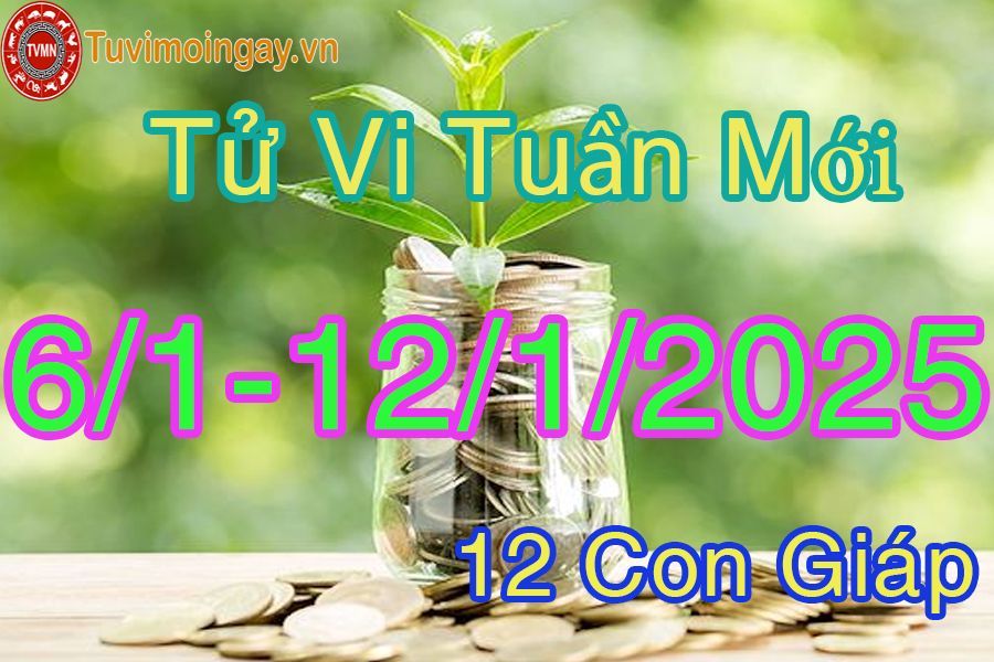 Tuần mới từ ngày 6/1 đến 12/1/2025 của 12 con giáp