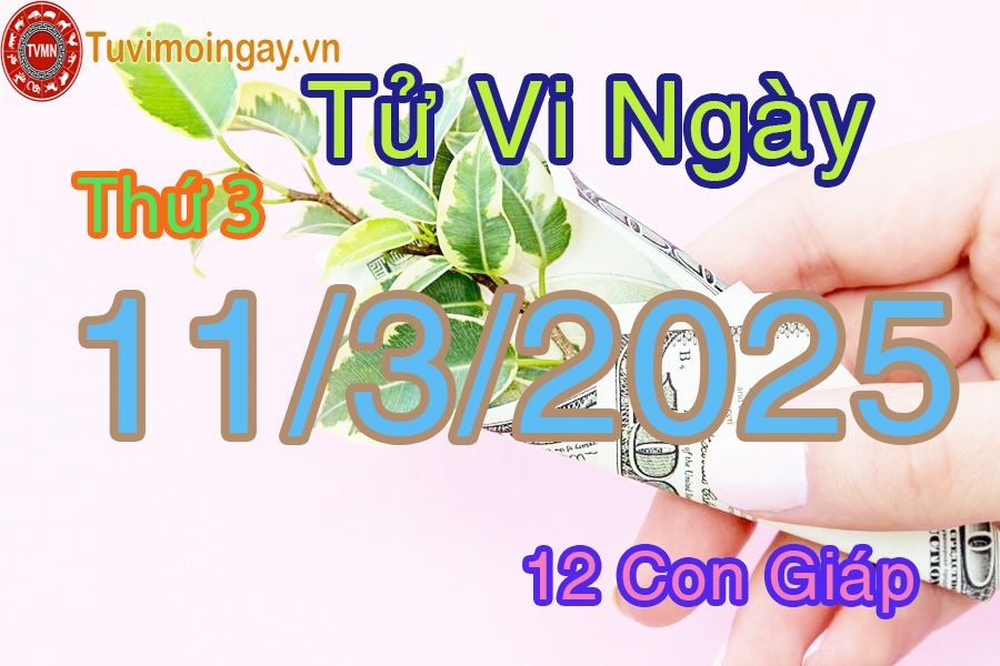 Xem bói ngày 11-2025 Thứ 3