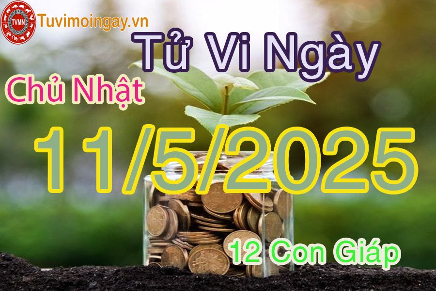 Xem bói ngày 11-5-2025 Chủ Nhật