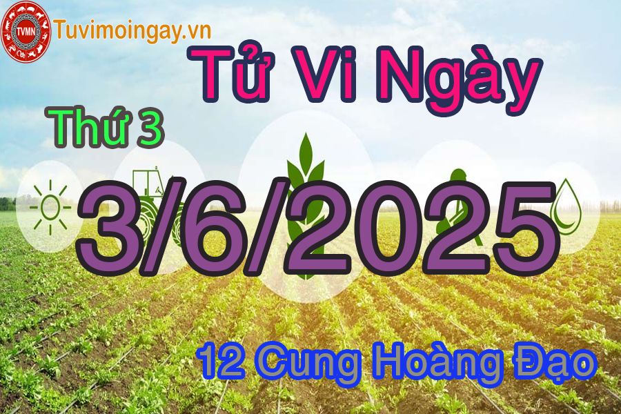 Tử vi Thứ 3 ngày 3/6/2025 của 12 cung hoàng đạo