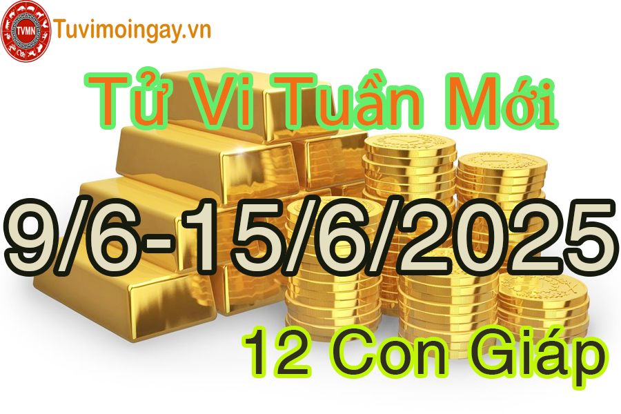 Tuần mới từ ngày 9/6 đến 15/6/2025 của 12 con giáp