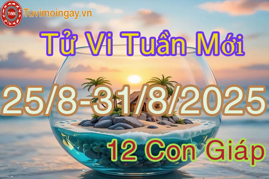 Tuần mới từ ngày 25/8 đến 31/8/2025 của 12 con giáp