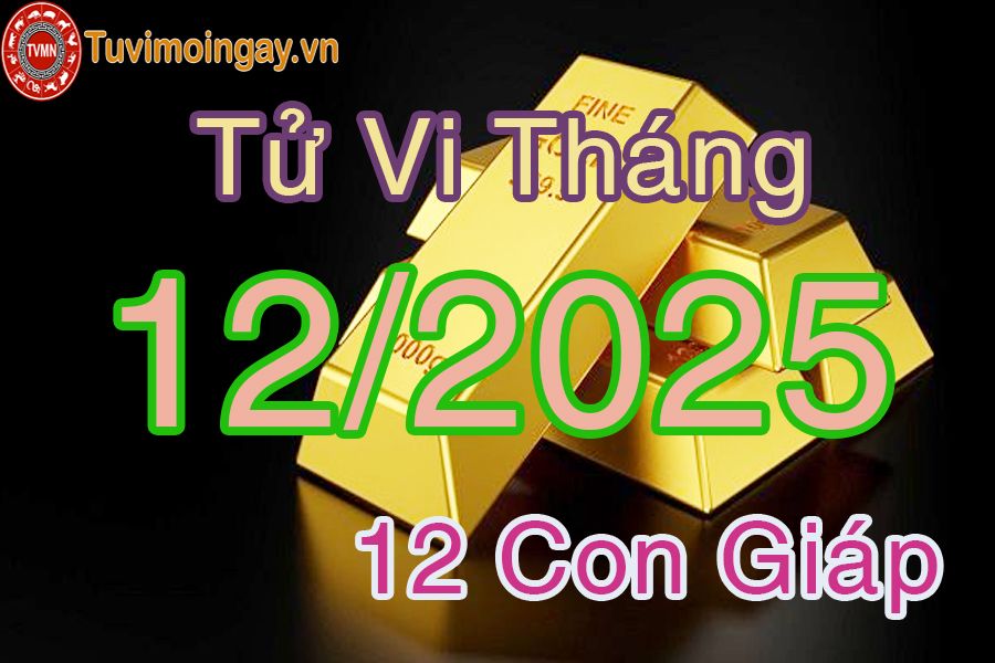 Xem bói 12 con giáp tháng 12 năm 2025 Xem bói 12 con giáp tháng 12 năm 2025