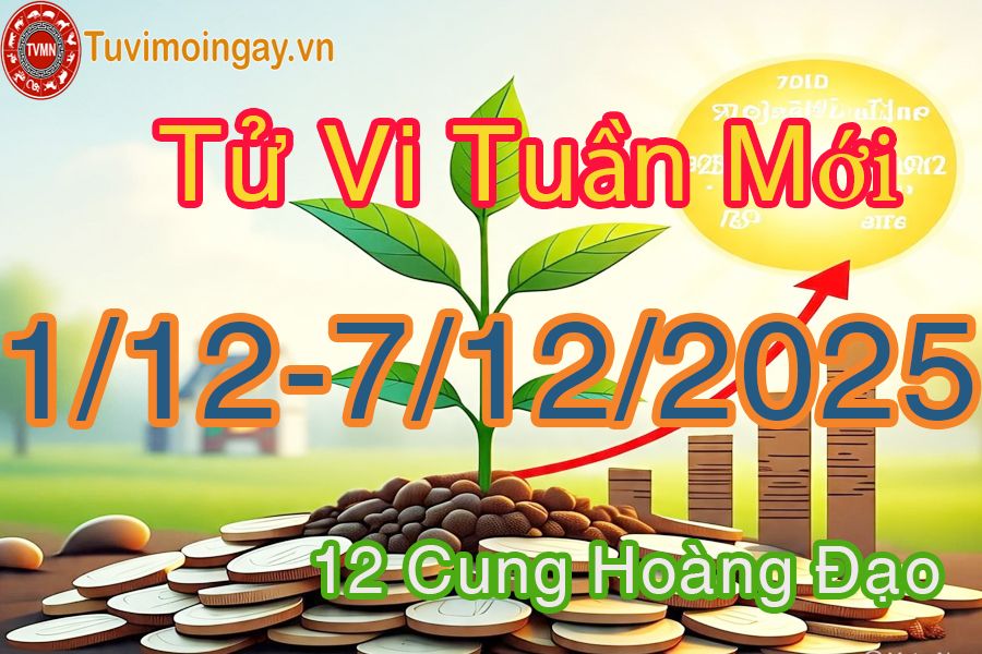 Tử vi tuần mới 12 cung hoàng đạo từ 1/12 đến 7/12/2025 Tử vi tuần mới 12 cung hoàng đạo từ 1/12 đến 7/12/2025