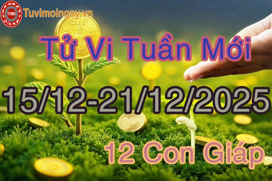 Tuần mới từ ngày 15/12 đến 21/12/2025 của 12 con giáp Tuần mới từ ngày 15/12 đến 21/12/2025 của 12 con giáp