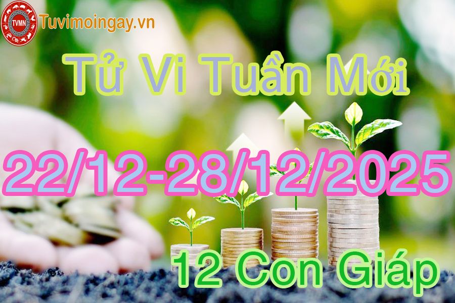 Tuần mới từ ngày 22/12 đến 26/12/2025 của 12 con giáp Tuần mới từ ngày 22/12 đến 26/12/2025 của 12 con giáp