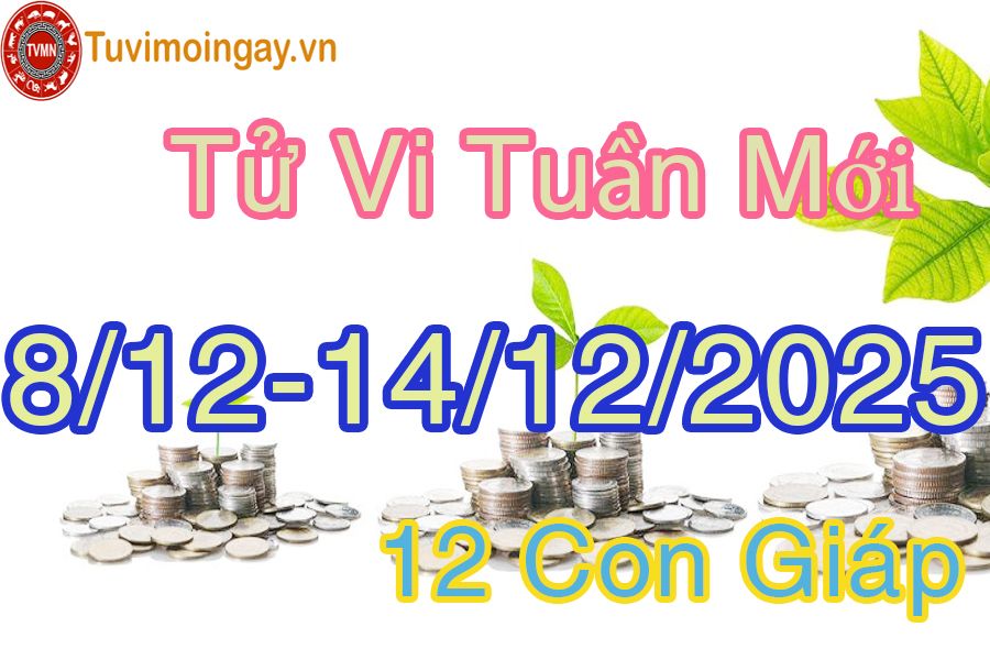 Tuần mới từ ngày 8/12 đến 14/12/2025 của 12 con giáp