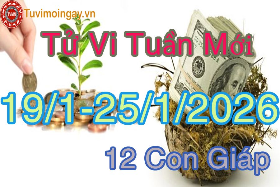 Tuần mới từ ngày 19/1 đến 25/1/2026 của 12 con giáp Tuần mới từ ngày 19/1 đến 25/1/2026 của 12 con giáp