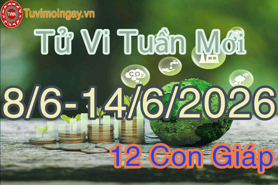 Tuần mới từ ngày 8/6 đến 14/6/2026 của 12 con giáp Tuần mới từ ngày 8/6 đến 14/6/2026 của 12 con giáp